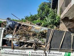 Best Basement Cleanout  in Occoquan, VA